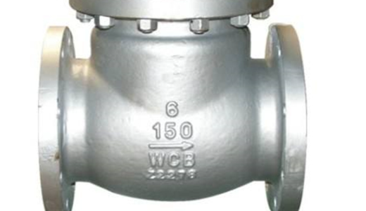 6 in WCB Check Valve